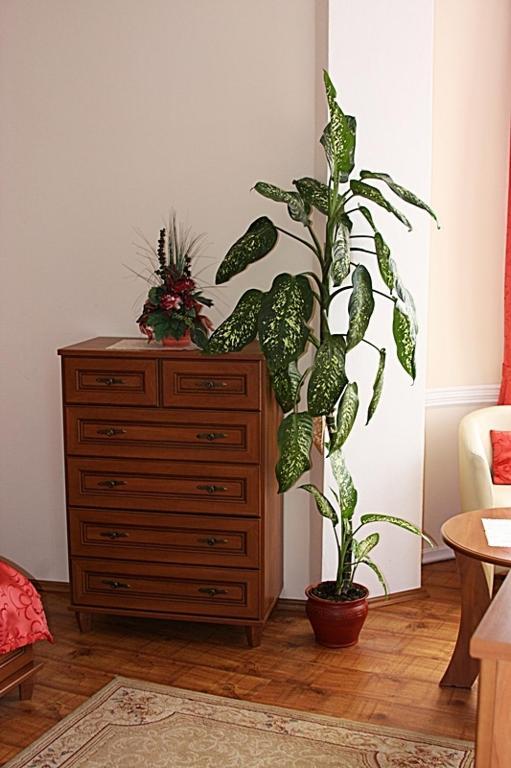 Olymp Penzion Komárno Habitación foto